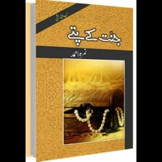 Jannat Kay Pattay by Nimra Ahmed (new edition) Jannat Kay Pattay by Nimra Ahmed (new edition)